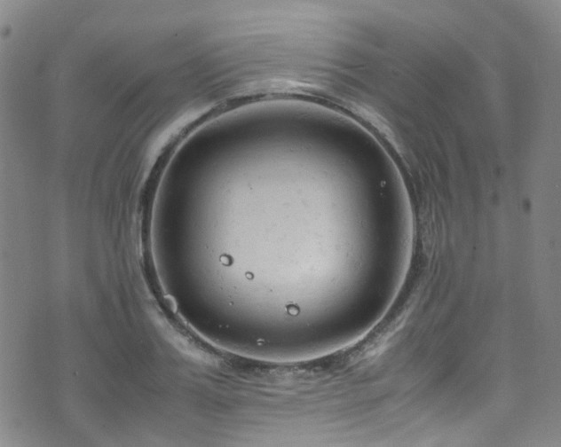 X0000072550987200607141248