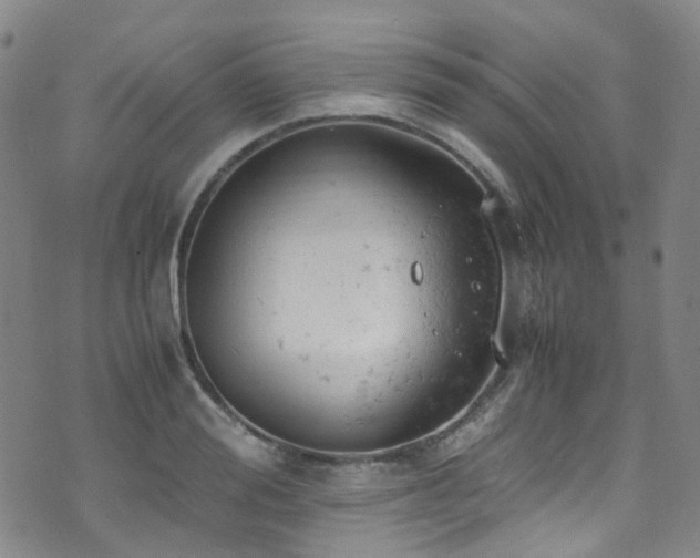 X0000072550988200607141248