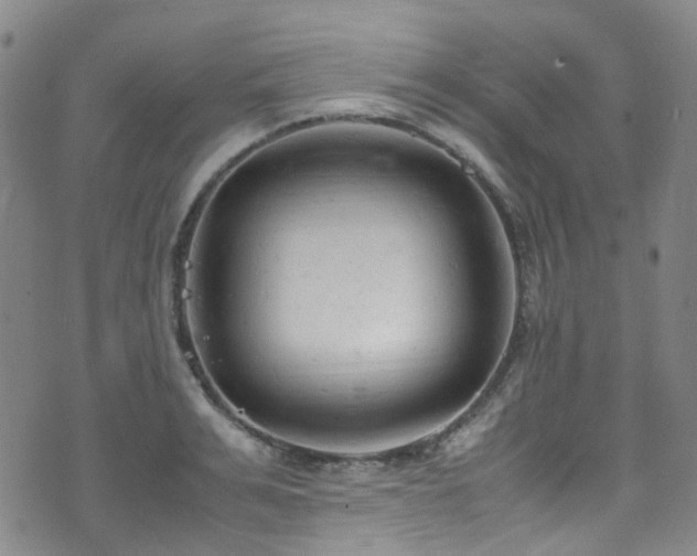 X0000072550991200607141248