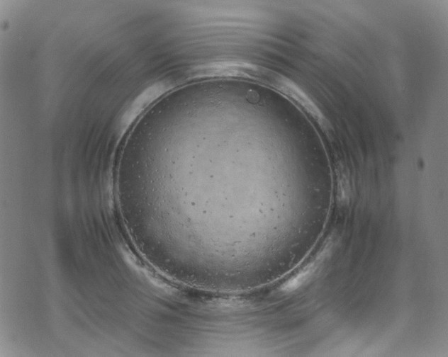 X0000072550994200607141248