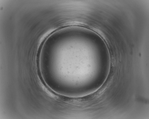 X0000072550995200607141248