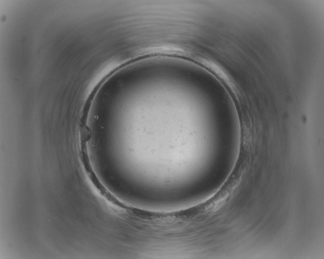 X0000072550999200607141248