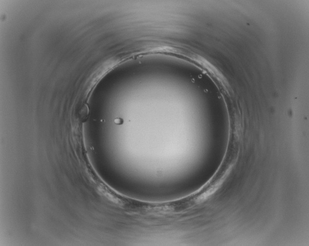 X0000072551001200607141248