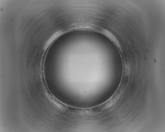 X0000072551002200607141248