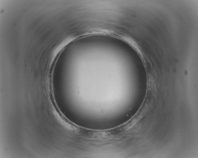 X0000072551003200607141248