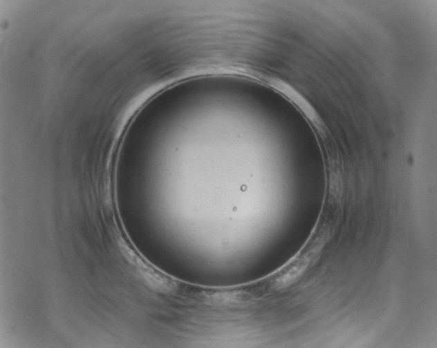 X0000072551004200607141248