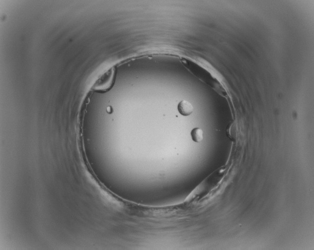 X0000072551005200607141248