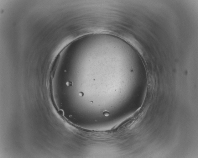 X0000072551007200607141248