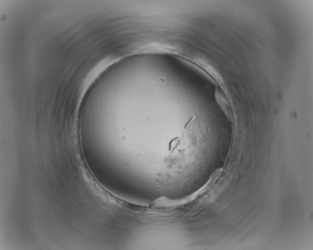 X0000072551008200607141248