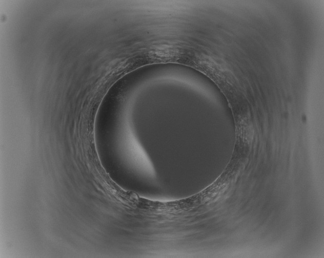 X0000072551009200607141247