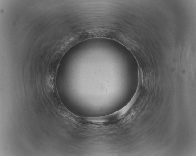 X0000072551010200607141247