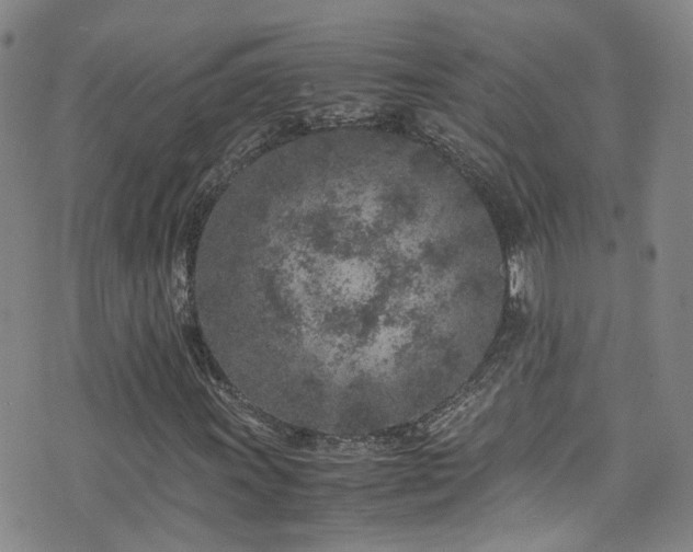 X0000072551011200607141247