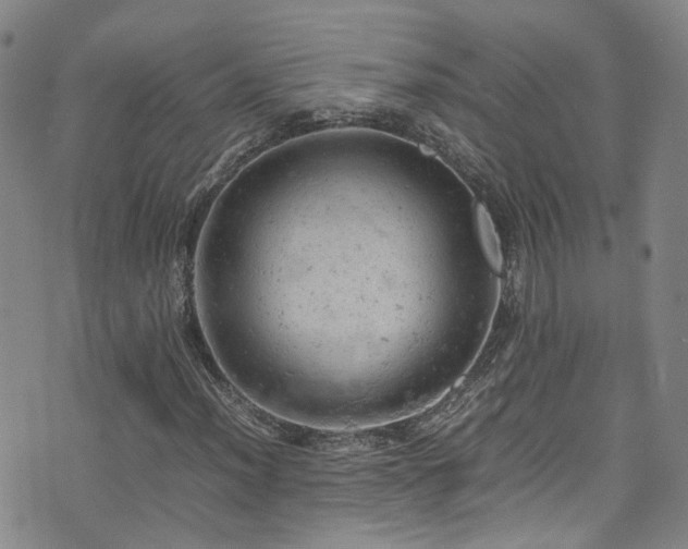 X0000072551012200607141247