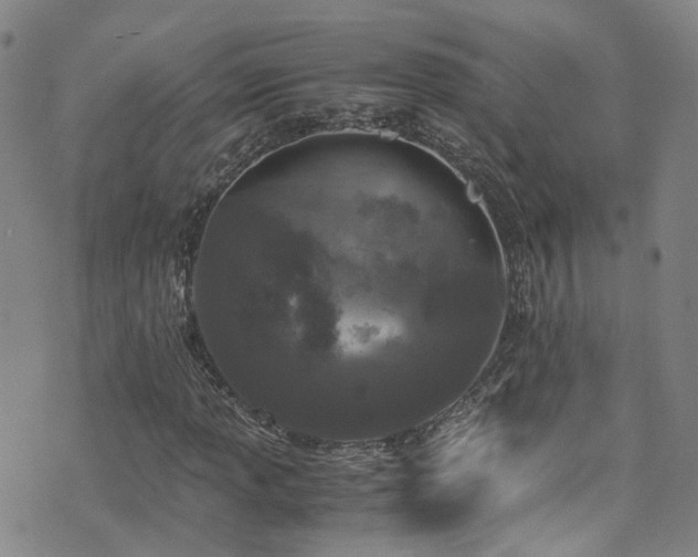 X0000072551013200607141247