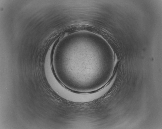 X0000072551014200607141247