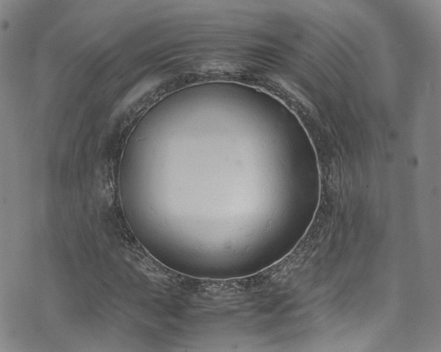 X0000072551015200607141247