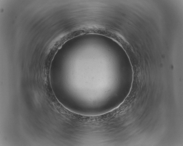 X0000072551016200607141247