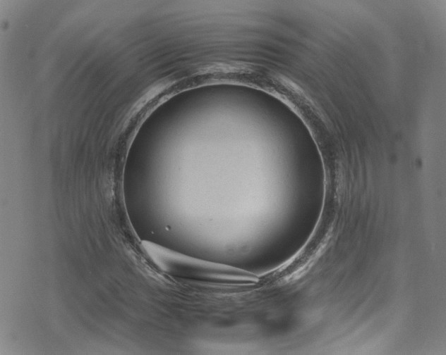 X0000072551017200607141247