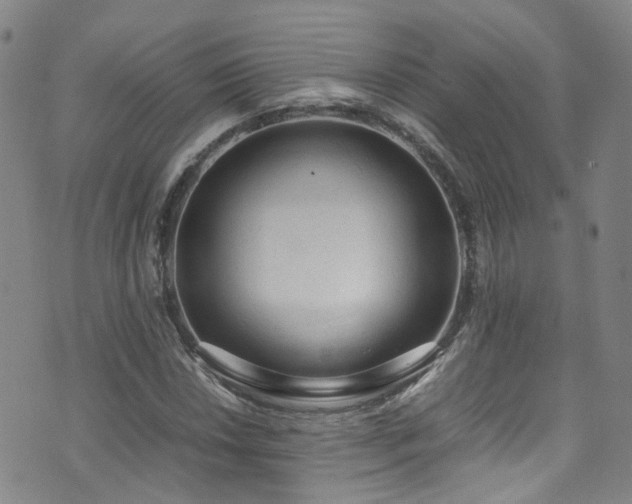 X0000072551018200607141247