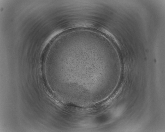 X0000072551019200607141247