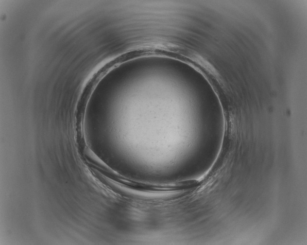 X0000072551020200607141247