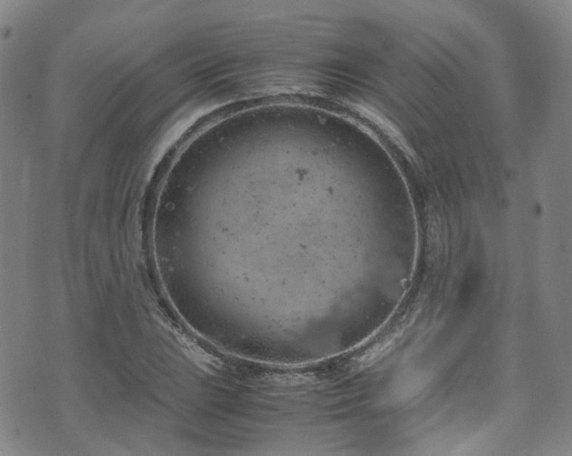 X0000072551023200607141247