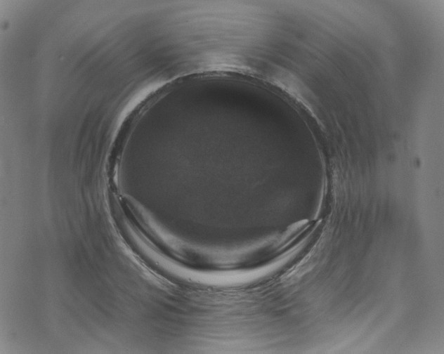 X0000072551024200607141247