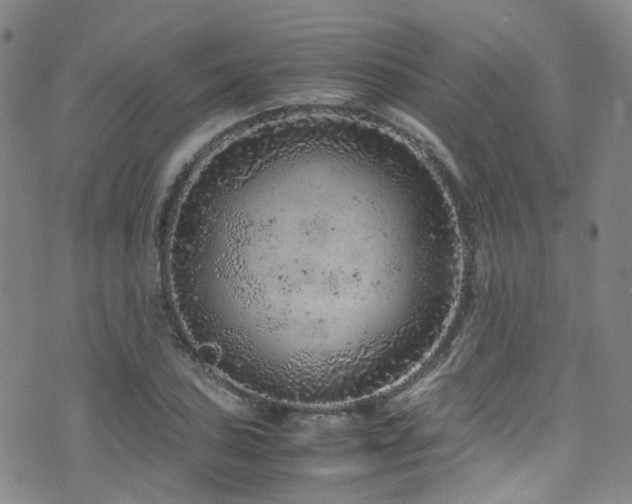 X0000072551027200607141247