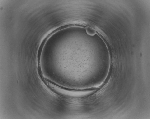 X0000072551028200607141247