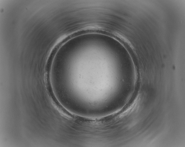 X0000072551029200607141247