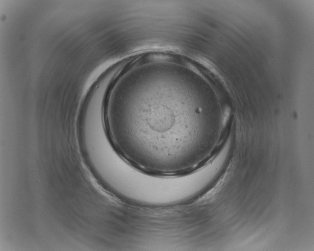 X0000072551030200607141247