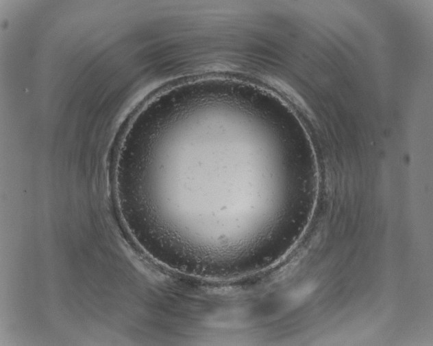 X0000072551031200607141247