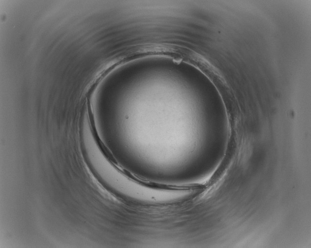 X0000072551033200607141247