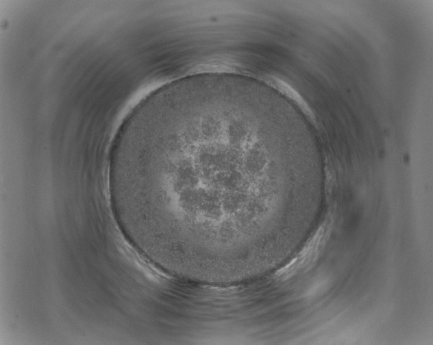 X0000072551035200607141247