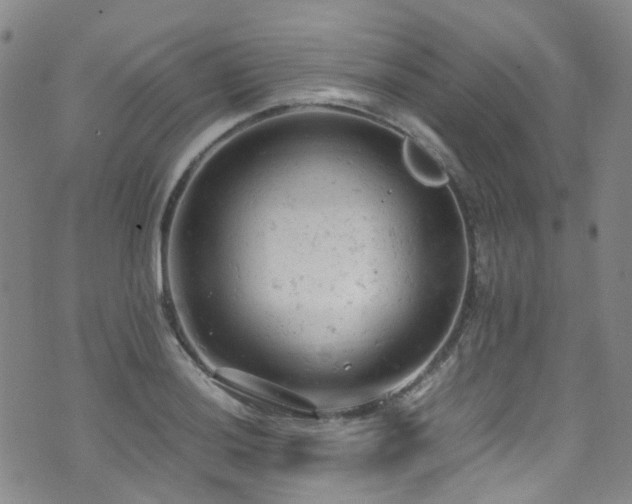 X0000072551036200607141247