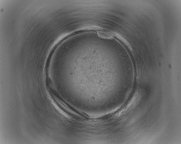 X0000072551037200607141247