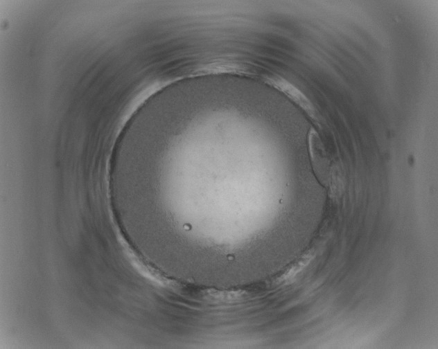 X0000072551039200607141247