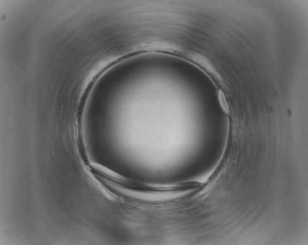 X0000072551040200607141247