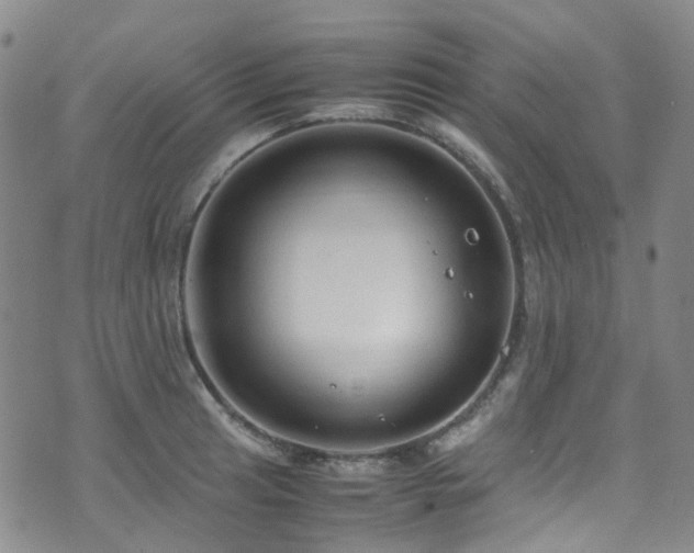 X0000072551041200607141247