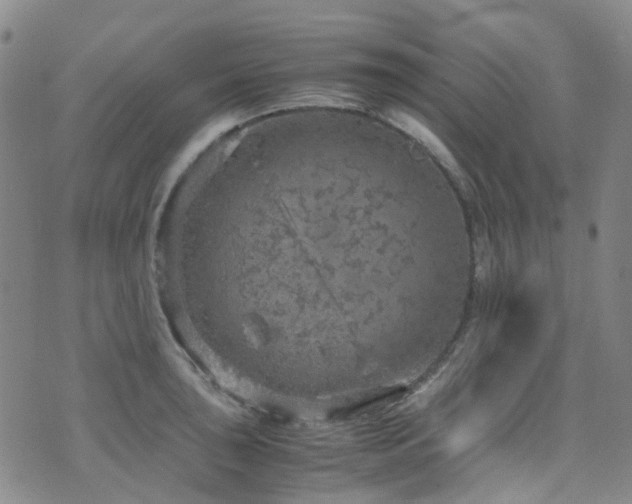 X0000072551043200607141247