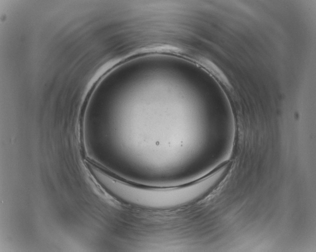 X0000072551044200607141247