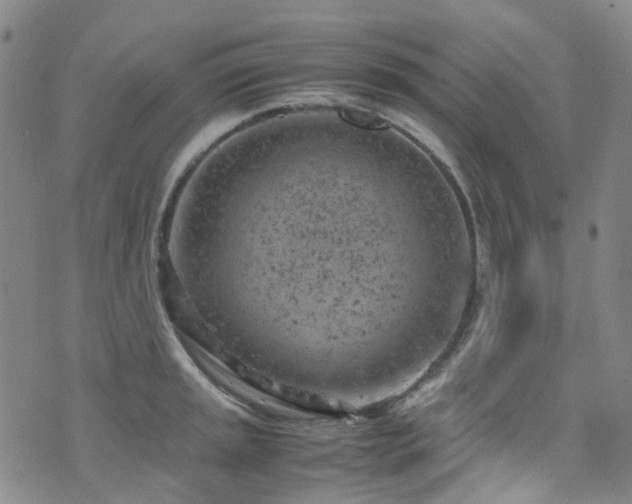 X0000072551045200607141247