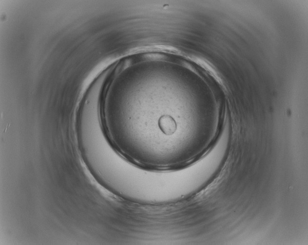 X0000072551046200607141247