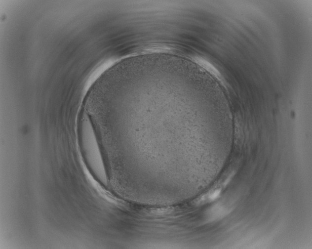 X0000072551047200607141247