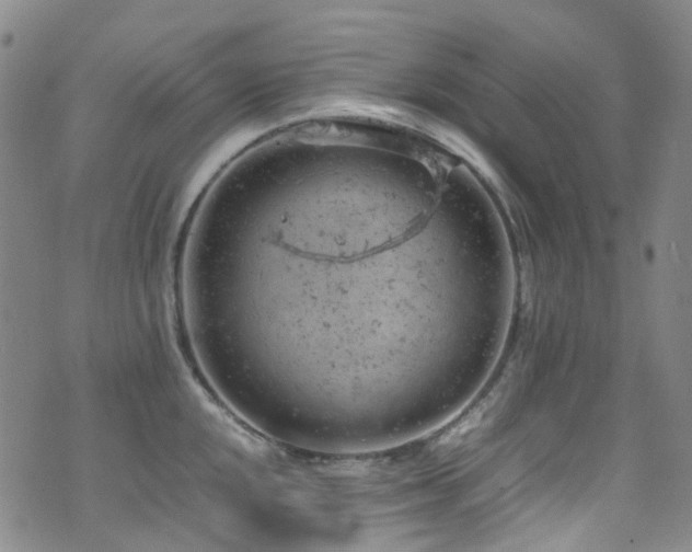 X0000072551048200607141247