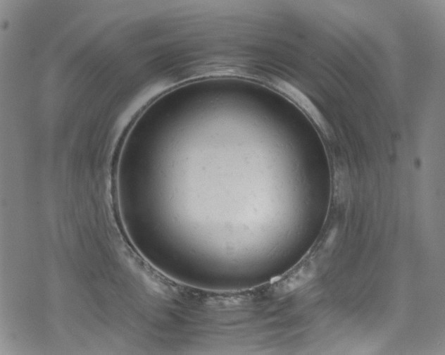 X0000072551051200607141248