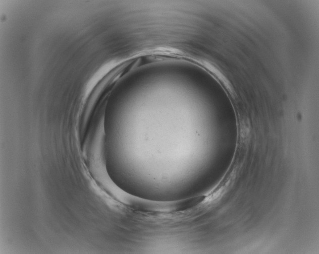 X0000072551054200607141248