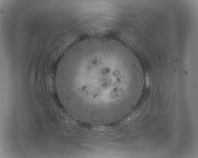 X0000072551059200607141247