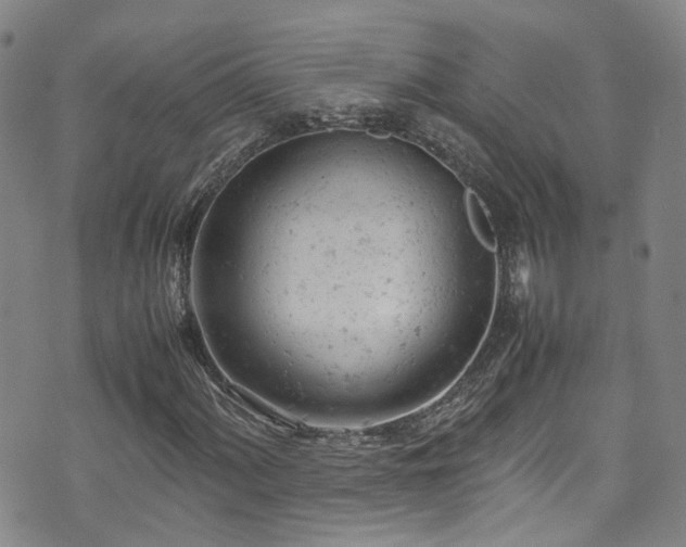 X0000072551060200607141247