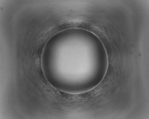 X0000072551061200607141247